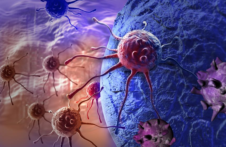 Cencer cells. Cancer is treated by the medical field Oncology
