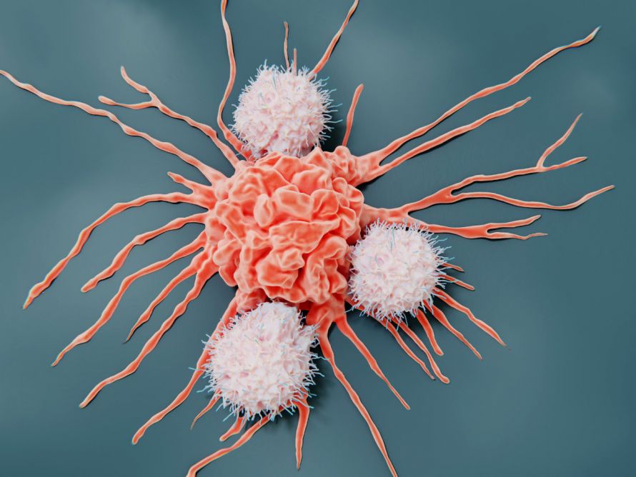 Darstellung von Immunzellen, die eine Krebszelle bekämpfen