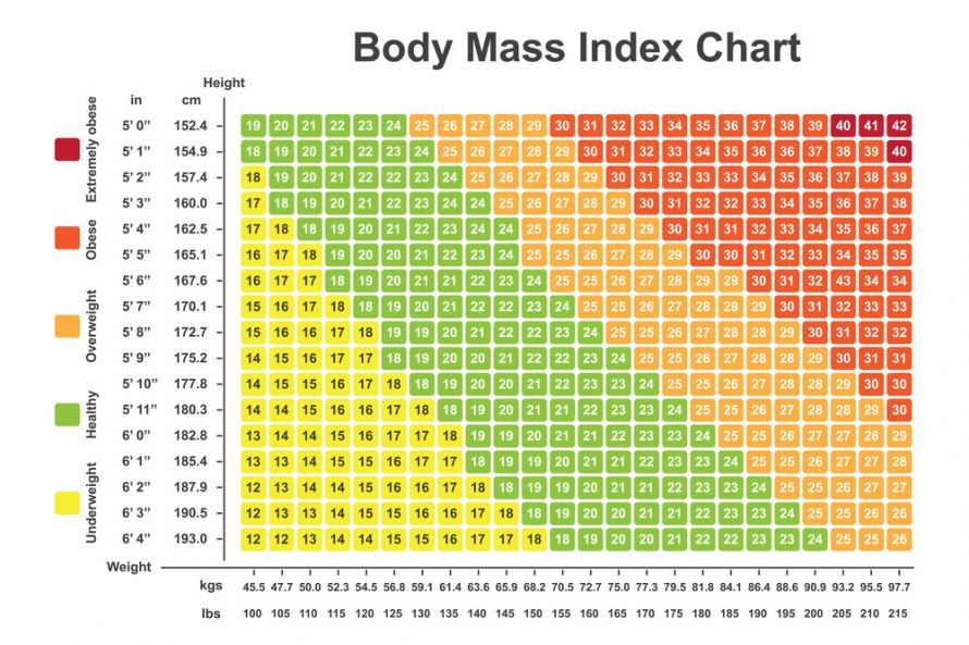 Body Mass Index (BMI) Chart